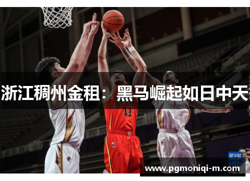 浙江稠州金租：黑马崛起如日中天